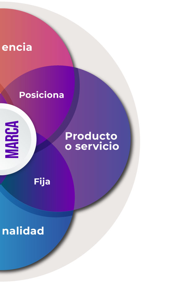 Fortalecimiento de Marcas a través de Estrategias Creativas